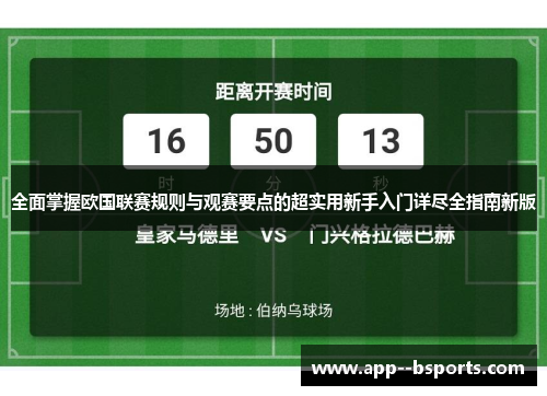 全面掌握欧国联赛规则与观赛要点的超实用新手入门详尽全指南新版 全面掌握欧国联赛规则与观赛要点的超实用新手入门详尽全指南新版