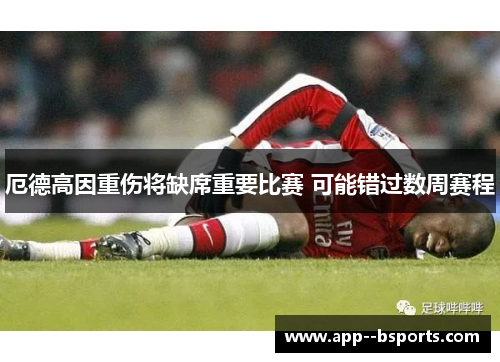 厄德高因重伤将缺席重要比赛 可能错过数周赛程